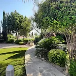 Latchi Bay Evergreen *