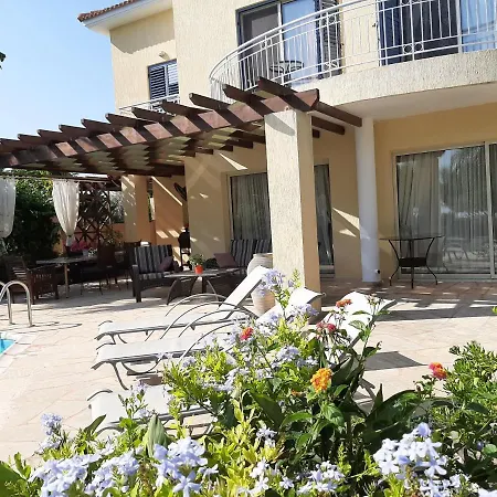 Latchi Bay Evergreen * Neo Chorio