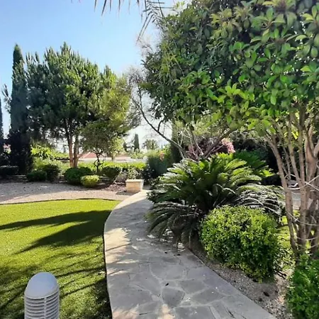 Latchi Bay Evergreen *