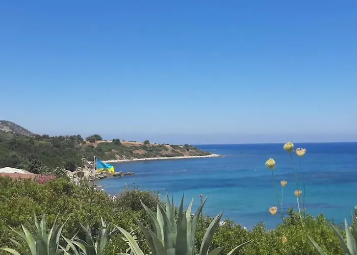 Villa Latchi Bay Evergreen *